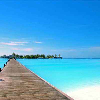 ag真人国际官网app下载